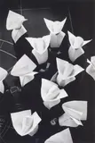 David Moore, Sisters of Charity, Washington DC, USA 1956, 1956, silver gelatin photograph