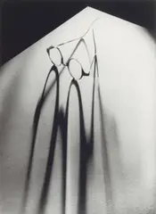 Olive Cotton, Glasses c1937 (printed 1998), c1937 (printed 1998)