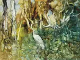 William Boissevain, Swamp Bird 1974
