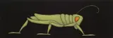 David Laity, Grasshopper 2010