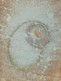 Max Ernst, Pour Rimbaud, coloured etching