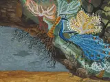 Donald Friend, Untitled (Peacock), oil on paper on board