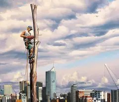 Peter Smets, Last Tree Standing, oil on canvas