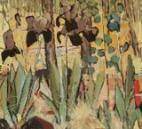 Clifton Pugh, Irises 1956