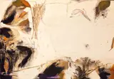 Chihung Yang, Transitory Bloom, 2005, Charcoal and acrylic on canvas