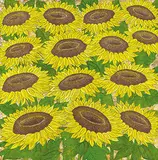 Wu Hao, Blooming Sunflowers, 1989, Oil on canvas