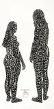 Zhiyang Huang, Lover’s Library No.3, 1999, Ink on silk No.3 mounted onto board