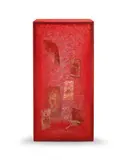 State of Being(Photographs) by Chiharu Shiota, 2018, Metal frame, red thread, photograph, sold Jun 2023