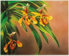 Hilo Chen, Blossom-12 (Orchids), 1981, Watercolor on paper