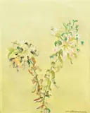 Zhou Chunya, Lilies