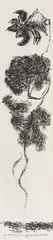 Hsu Yu-jen, Wild Flower Bud, 2007, Ink on paper