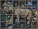 Kama Takumi, Rhinoceros in the Shelf, 2011, Acrylic on canvas