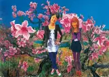 Zhou Chunya, Sister Flower, 2010, Oil on canvas