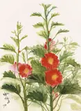 Shiy De-jinn, Hibiscus