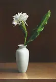 Yeh Tzu Chi, Ginger Lily