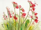 Shiy De-jinn, Red Flowers