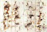 Art Shopping Network by Tsai Kang-yung & Cai Guo-Qiang, 2005, sold Jun 2009
