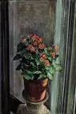 Huang Ming-chang, Chinese Flowering Crabapple, 1997, Oil on canvas