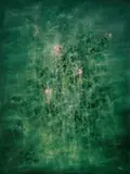 Lv Shun, Flowers in the Garden, 2007, Oil on canvas