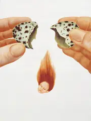 Lyntalo Torii, Nativity, 2005, Oil on board