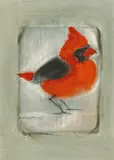 Max Chiwai Liu, Bird