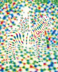 Tomoya Tsukamoto, Red Yellow Blue (Zebra), 2011-2013, Acrylic on canvas