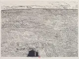 Xu Bing, Grassland