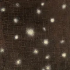 Paul Chiang, Eternal Contemplatation, 2004, Oil on canvas