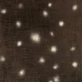 Paul Chiang, Eternal Contemplatation, 2004, Oil on canvas