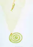 Yoshitomo Nara, Summer Painting, 1997, Colored pencil on paper