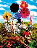 Tetsutaro Kamatani, Doing Whatever, Whether Dead or Alive, 2007, Oil on canvas