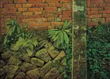Lien Chien-hsing, To Settle Down