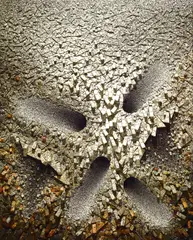 Aggregation 07-D114 by Chun Kwang Young, 2007, Mixed media with Korean mulberry paper, offered Nov 2010