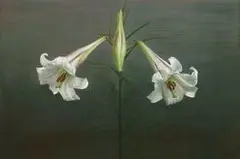 Yeh Tzu Chi, Hualien's Wild Lily, 2016 - 2021, Tempera and oil on linen