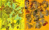 Lee Ming-tse, Rangers, 2007, Acrylic on canvas