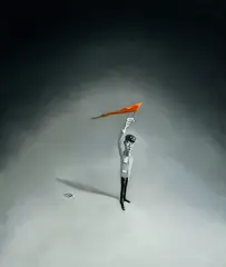 Liu Kun, Flag No. 1, 2006, Oil on canvas