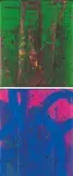Lei Li, Sichuan Forest No. 52;  Sichuan Forest No. 39 (a set of 2), 2008, Acrylic on canvas