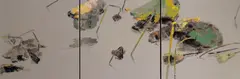 Hou Qing, Lotus (triptych), 2006, Acrylic on canvas