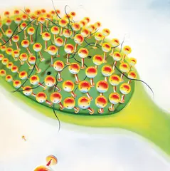 A Comb by Chen Ke, 2003, Oil on canvas, sold Dec 2008