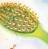 Chen Ke, A Comb, 2003, Oil on canvas