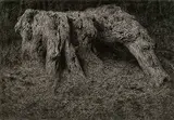 Leung Siu Hee, Rocky Bush, 1981, Charcoal on paper