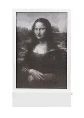 Seungmo Park, Maya Monaliza, 2012, Wire mesh and LED light box, ed. 2/50 
and number 2/50