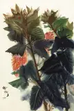 Chinese Flowering Crabapple by Shiy De-jinn, 1977, Watercolor on paper, sold Dec 2013