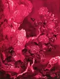 Chang-Ling, Pork Belly Series–Flesh Landscape–Mountain Among Flowers