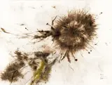 Cai Guo-Qiang, Dragon Cypress