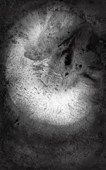 Lampo Leong, Elation I, 2016, Ink on paper