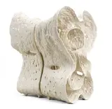 Hsu Yunghsu, 2024-15, 2024, Porcelain, unique