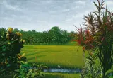 Huang Ming-chang, Rice Field Series-Red Flowers and a Green View, 2004, Oil on canvas