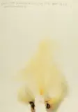 Cai Guo-Qiang, Project for Extraterrestrials, No. 8: Reviving the Ancient Signal Towers (4)