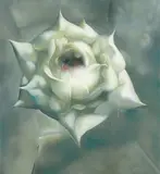 Luo Fahui, Rose 2003 No.1, 2003, Oil on canvas